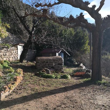 Studio Des Combes Dunières-sur-Eyrieux Εξωτερικό φωτογραφία