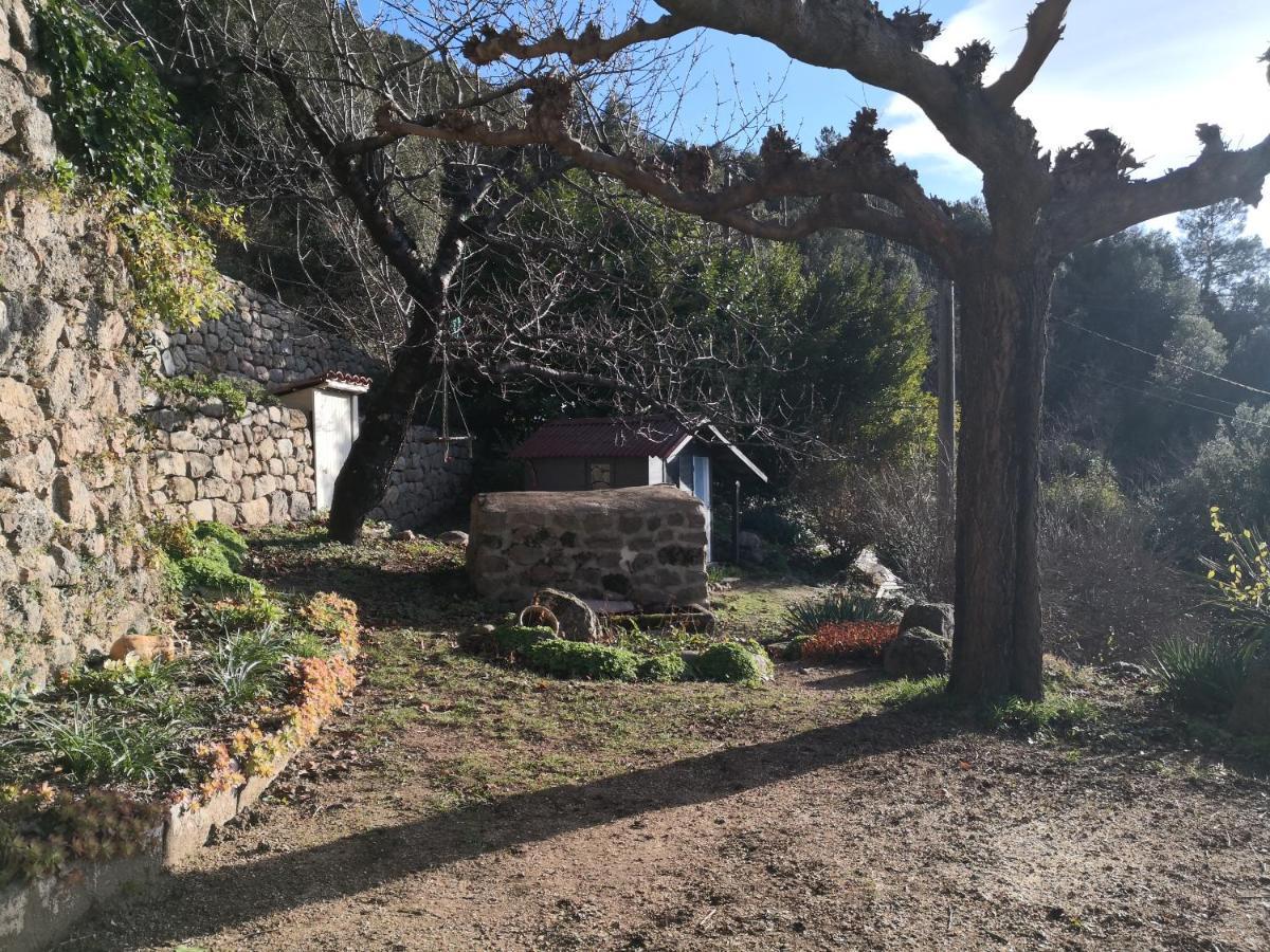 Studio Des Combes Dunières-sur-Eyrieux Εξωτερικό φωτογραφία